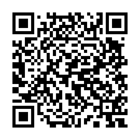 QR code for A22411