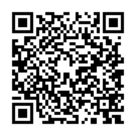 QR code for A241593