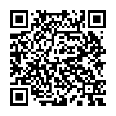 QR code for A29233
