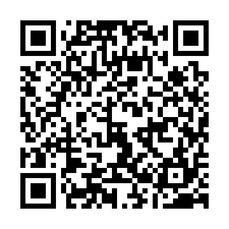 QR code for A29314