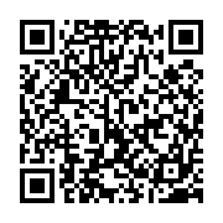 QR code for A29517