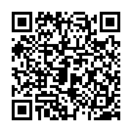 QR code for A313325