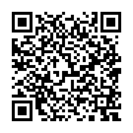 QR code for A387403