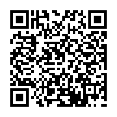 QR code for A446241
