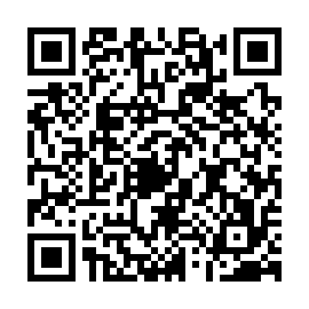 QR code for A453163