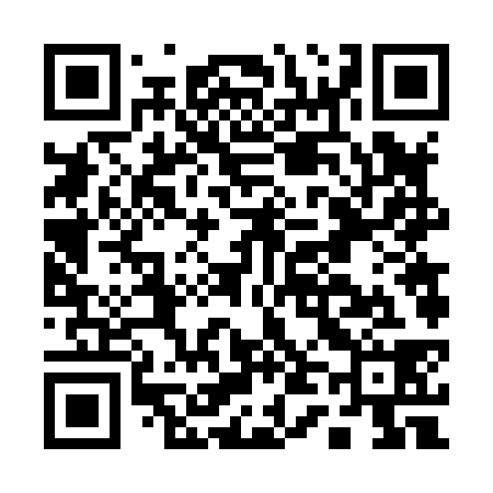 QR code for A46838