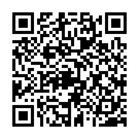 QR code for A483308