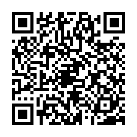 QR code for A498209