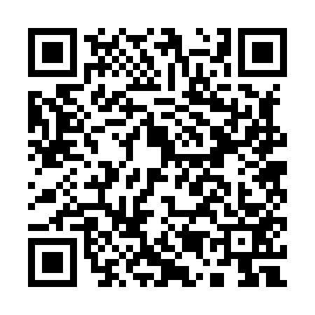 QR code for A528534