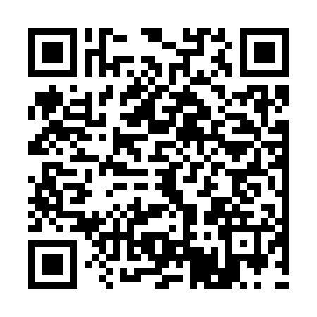 QR code for A533055