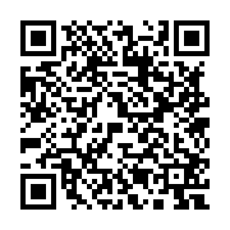 QR code for A538029