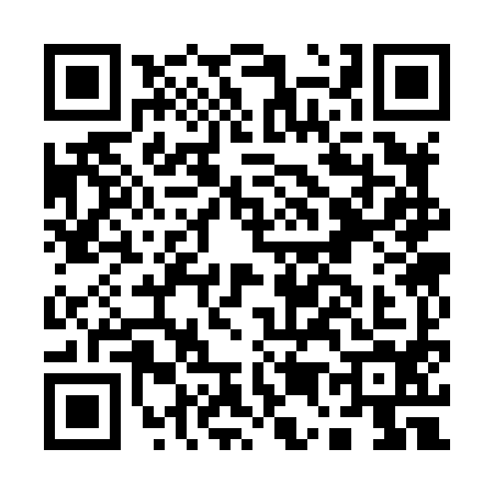 QR code for A538943