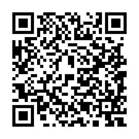 QR code for A541978