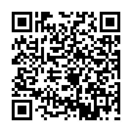 QR code for A543218