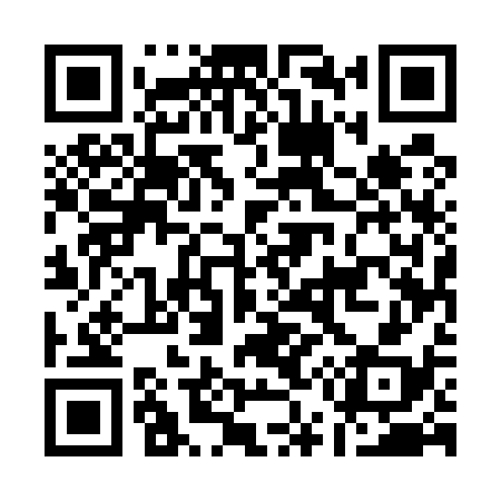 QR code for A55538