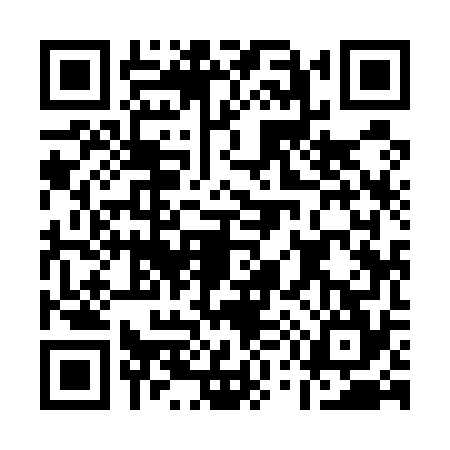 QR code for A595743