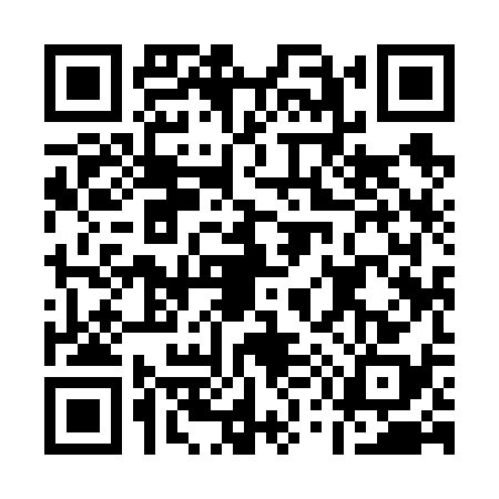 QR code for A596383