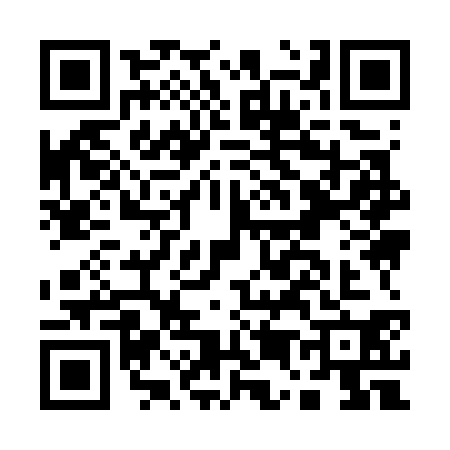QR code for A597308