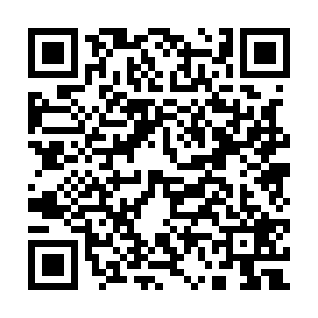 QR code for A601294