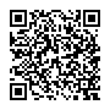 QR code for A602524