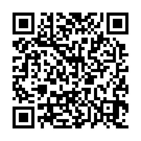 QR code for A66333