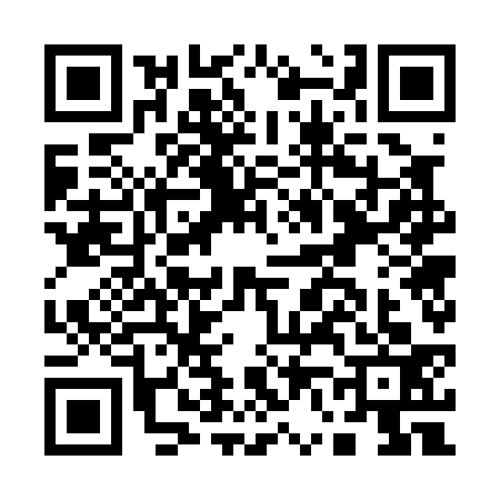 QR code for A670338