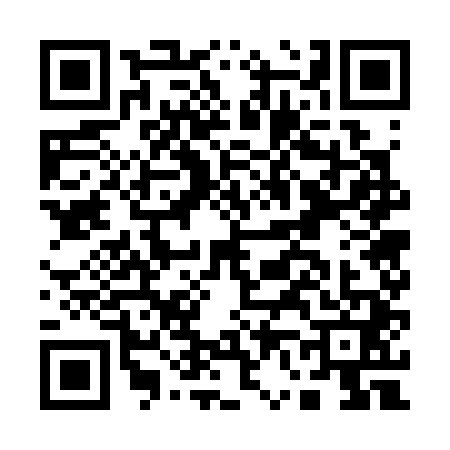 QR code for A673419