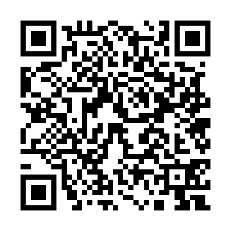 QR code for A675304