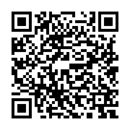 QR code for A809234
