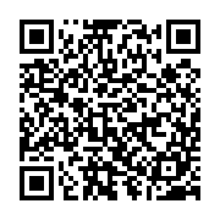 QR code for A81545