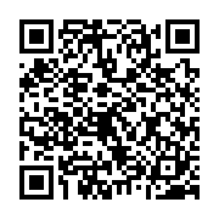 QR code for A853233