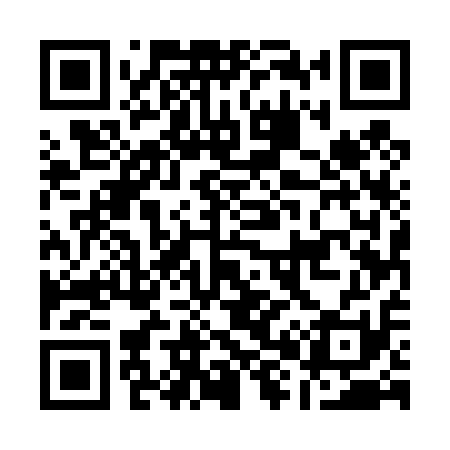 QR code for A85411