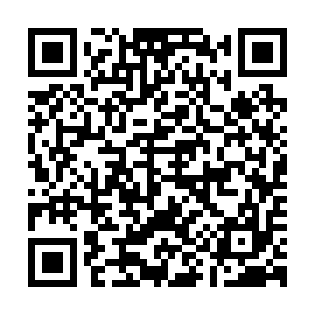 QR code for A93217