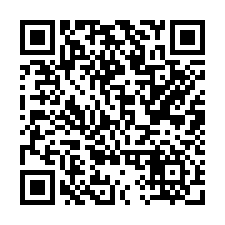 QR code for A93317