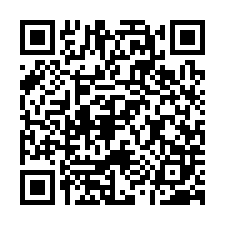 QR code for A953828