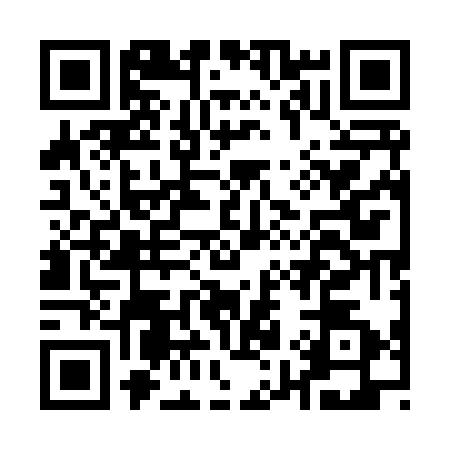 QR code for A958728