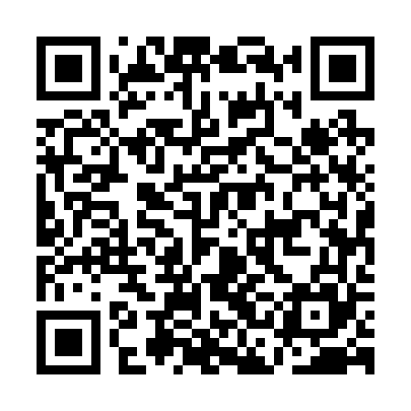 QR code for ACE265