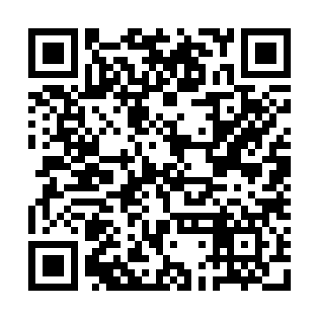 QR code for ADG387