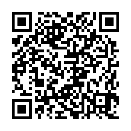 QR code for ADP383