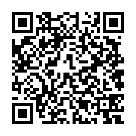 QR code for AE64383