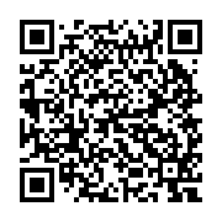 QR code for AEG295