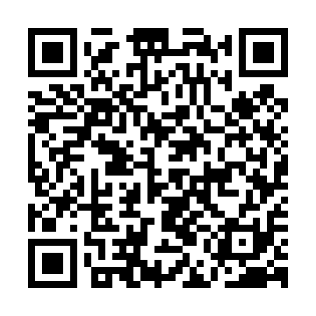 QR code for AEG411