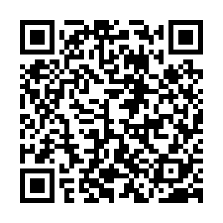 QR code for AFG228