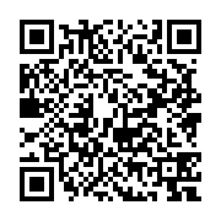 QR code for AG85382