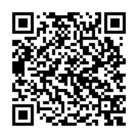 QR code for AGU334
