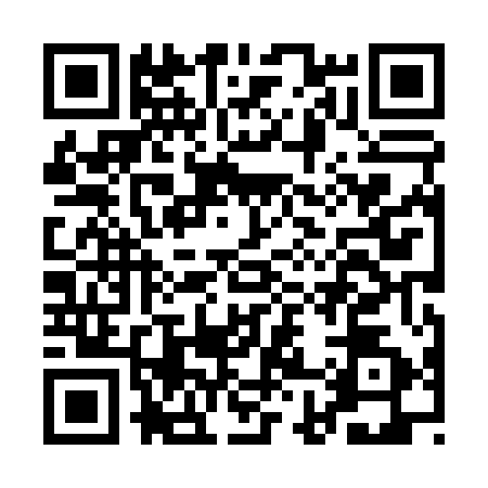 QR code for AH80520