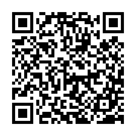 QR code for AI4447