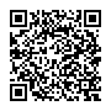 QR code for AI96533