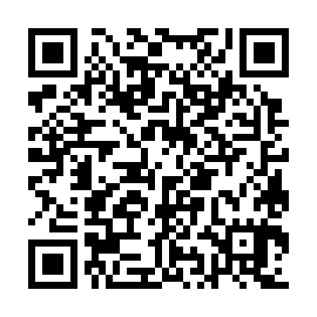 QR code for AIG385