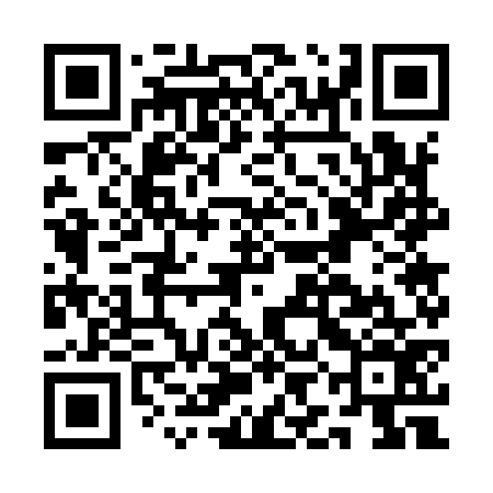 QR code for AIG976